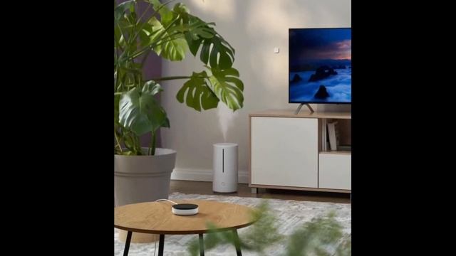 Яндекс представил много новых устройств Zigbee для умного дома.  Антенны Триада-2496 для этого!