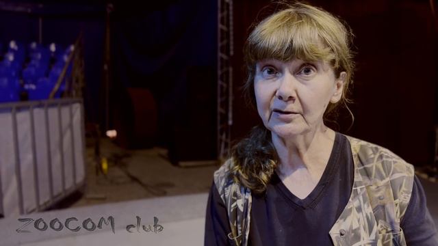 Цирковые попугаи. Ужасы дрессировки? смотреть онлайн