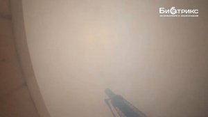 Фумигация короеда Фосфином-ОПАСНО.Видео Биотрикс.Спасаем брусовой дом Циперметрином
