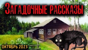 ЗАГАДОЧНЫЕ РАССКАЗЫ | Страшные истории
