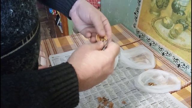 Качество Грецкого Ореха, как определить