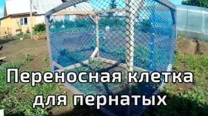 Переносная клетка для уток и гусей