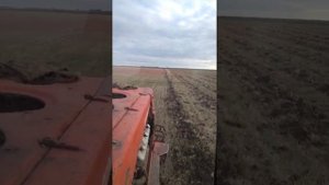 вспашка зяби дт 175 ,Волгарь,