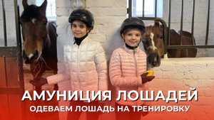 АМУНИЦИЯ ЛОШАДЕЙ | ГОТОВИМ ЛОЩАДЬ К ТРЕНИРОВКЕ
