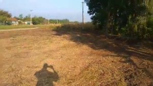 Сколько стоит раскорчевать 15 соток.