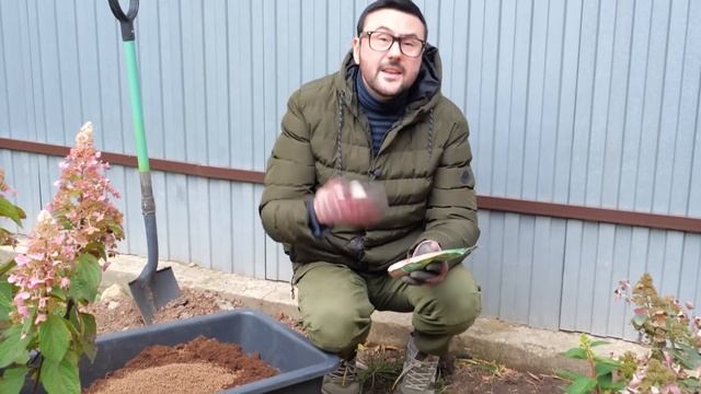 Гортензии гиганты! Проверенные способы посадки и ухода за гортензиями. Марина Рыкалина советует!