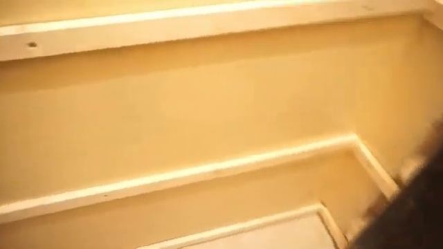 Отделка ПВХ панелями туалетной комнаты