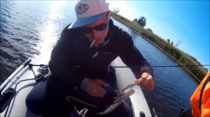 Рыбалка в Калининграде ////Преголя////KÖNIGFISHING.