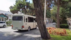 Маршрутка Hundai County SWB C08 (РЗГА) маршрут 25