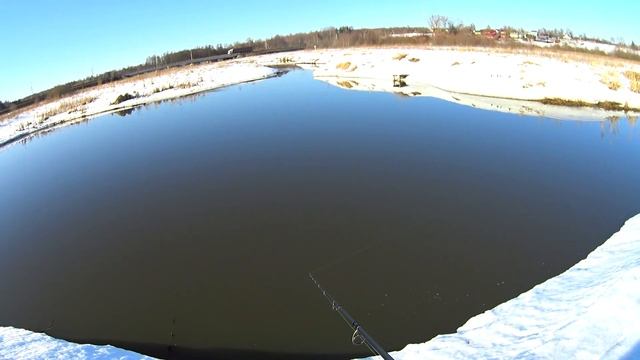 Ловля Весенней Щуки на Мандулу! Отлично открыл сезон 2021! Обкатал новый спиннинг от Нарвал! смотреть онлайн