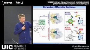 Цикл лекций NGM - Современные представления о механизме устойчивости бактерий к макролидам