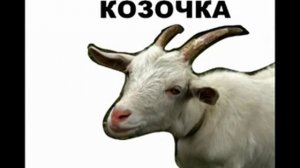 Голоса домашних животных звукоподражание