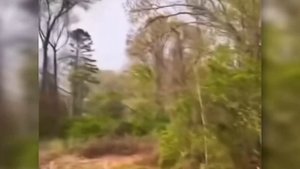 Гнев природы! Самые жуткие стихийные бедствия, попавшие на камеру!