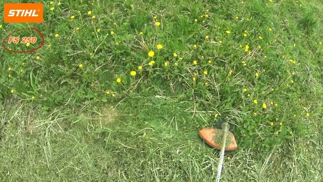 STIHL FS 250 trimmer. смотреть онлайн
