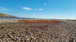 Утиная охота 2022 Мордовский залив