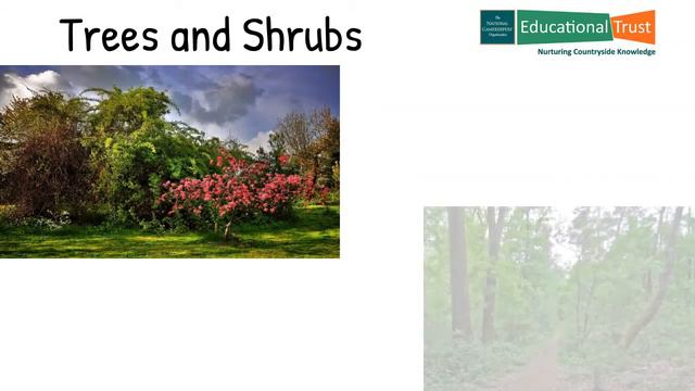 Conservation Fact File 7 - Wild Your Garden смотреть онлайн