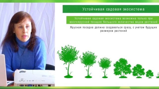Для чего в плодовом саду нужны хвойные растения о можжевельники? смотреть онлайн