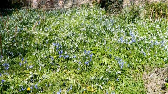 Nikon L310 Pictures смотреть онлайн