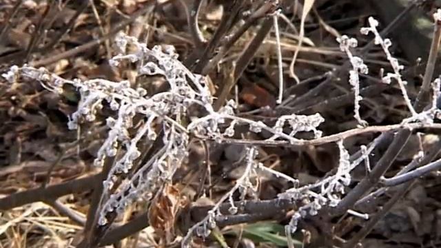 Зарисовка Ноябрь смотреть онлайн