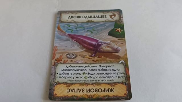 Мини-дополнение Эволюция Метаморфозы