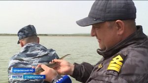 Богатый улов браконьеров пошел ко дну