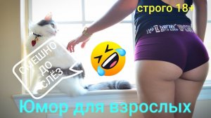 ОЧЕНЬ СМЕШНЫЕ ВИДОСЫ С ДЕВУШКАМИ 2022 АВГУСТ | ЖИВОТНЫМИ | ТЕСТ НА ПСИХИКУ, ЗАСМЕЯЛСЯ ПРОИГРАЛ