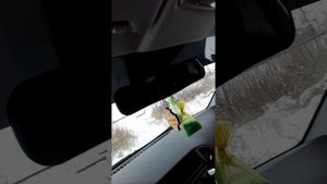 Pride MT 12 от 2кв с аватара.