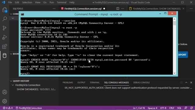 Connect to MySQL Database from Visual Studio Code and Run SQL Queries using SQLTools Extension смотреть онлайн