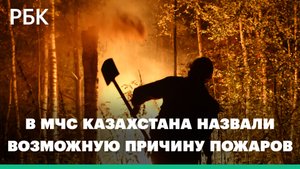 В МЧС Казахстана назвали возможную причину пожаров