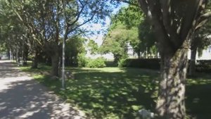 Знакомство с улицами Таллина. Ул. Эхтe. Штромка.Лес.Иду на пляж