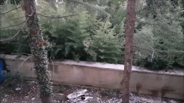 АК Покровский / Сочи. Недвижимость в Сочи