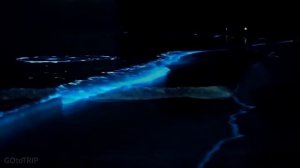 Михаил Лермонтов – Еврейская мелодия… (Елена Фролова)