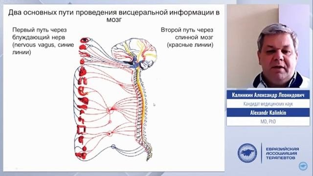 Функциональное предназначение сна