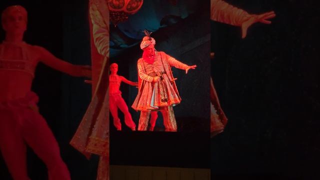 Балет "Шехеразада" Михаила Фокина (муз. Н.А. Римский-Корсаков); Мариинский театр (14.11.2023) 4
