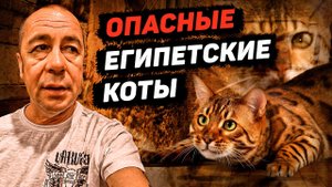 Виа Гра для туристов. Наама Бей. Шарм Эль Шейх. Египет 2021. Часть 2