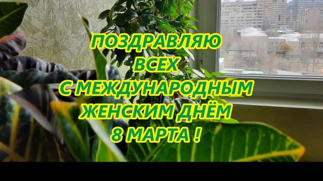 С ПРАЗДНИКОМ ДЕВОЧКИ! смотреть онлайн