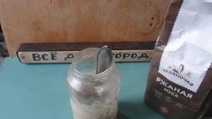 Как делать Живые дрожжи из муки и воды .