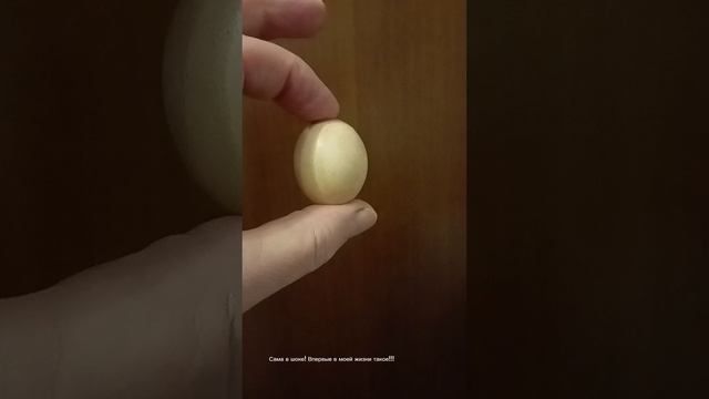 lv_0_20231216201528.mp4