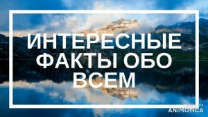 ИНТЕРЕСНЫЕ ФАКТЫ ЧАСТЬ 8