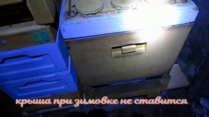 улей ППУ Нижегородец - советы по зимовке в улье Нижегородец в зимовнике