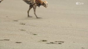 Доисторическая планета ? Русский тизер-трейлер (1-й сезон)