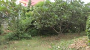 Паттайя,пляж Джомтьен, отель Гранд Джомтьен, территория, бассейны.