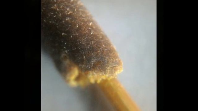 Микроскоп из смартфона, фотографии сделанные камерой смартфона 5 мегапикселей смотреть онлайн