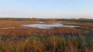 осенняя охота на утку Алтайского края в селе рассказиха 22 года