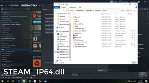 Ошибка при запуске RUST "unknown file mscorlib.dll" (также читать описание!)
