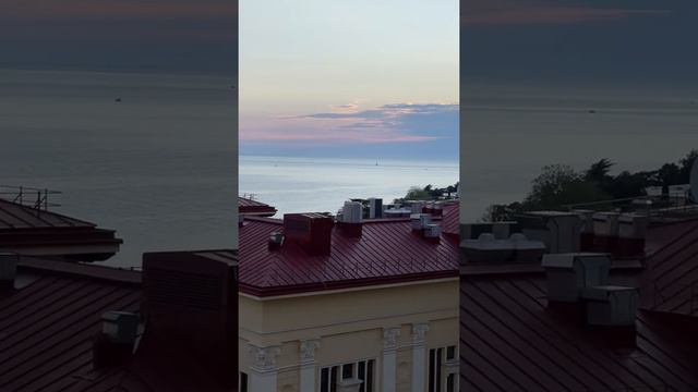 Камелия Сочи смотреть онлайн