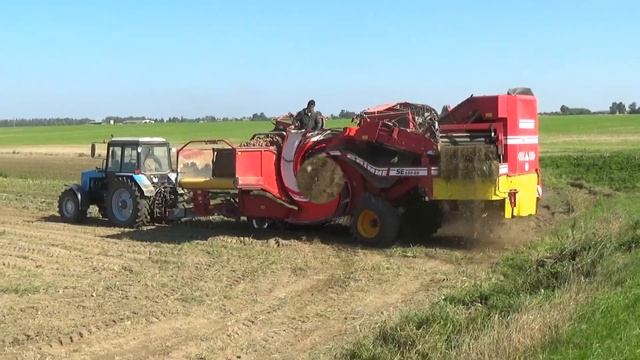 Уборка картофеля 2021 в СПК "Гигант" смотреть онлайн