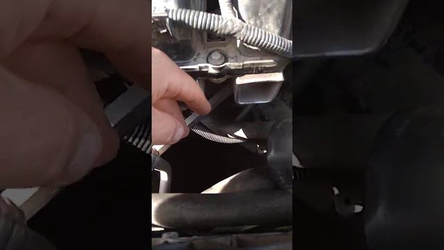 Где находится вин номер кузова и двигателя Рено Флюенс смотреть онлайн