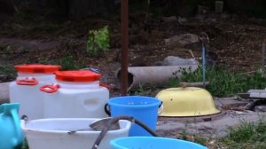 17_05_2021_2-Зайка пришёл.mp4