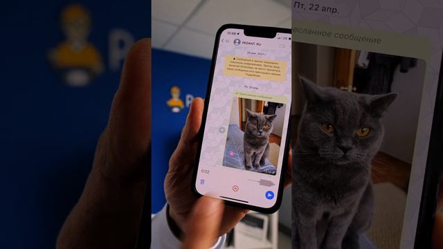 Фишка  Whatsapp / Голосовые записи в Ватсапп смотреть онлайн